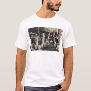 Manitou Springs, Colorado T-shirt