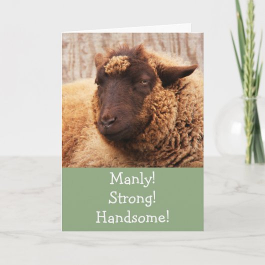 Manly Sheep Birthday Card Kaart (Voorkant)