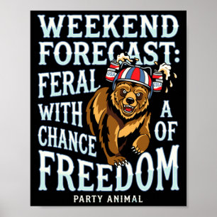 Mannelijk grappige grizzlybeer patriottische zomer poster