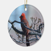 Mannelijk kardinaal Ornament (Links)