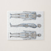 Mannelijk Skeleton 2 Legpuzzel (Horizontaal)