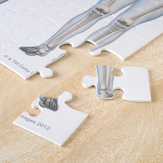 Mannelijk Skeleton 2 Legpuzzel (Zijkant)