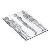 Mannelijk Skeleton 2 Notitieboek (Rechterzijde)