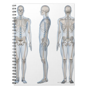 Mannelijk Skeleton 2 Notitieboek