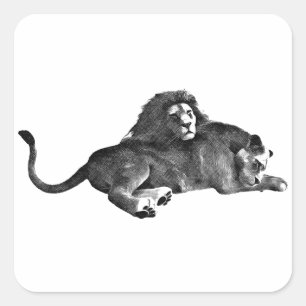 Mannelijk Vrouw leeuwen oorspronkelijke kunstteken Vierkante Sticker