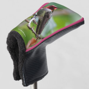 Mannelijke Anna's kolibrie op de pruimenboom Golfheadcover