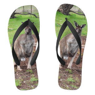 Mannelijke Australiër Kangaroo, Teenslippers