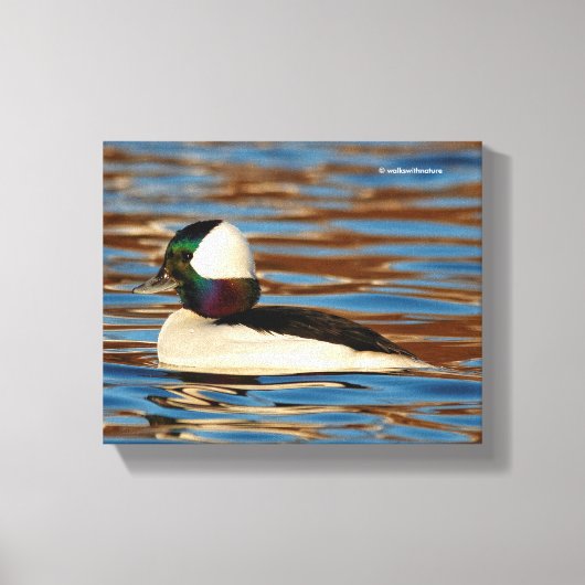 Mannelijke buffelkop in de middags-zon canvas afdruk (Voorkant)