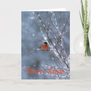 Mannelijke Bullfinch in de Snow Merry Xmas Kaart