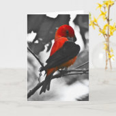 Mannelijke carlet Tanager Kaart (Gele Bloem)