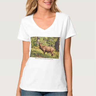 Mannelijke Eland in Rocky Mountain National Park C T-shirt
