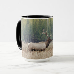 Mannelijke Eland in Weiland Yellowstone National Mok