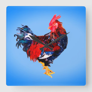 mannelijke gallinaceous, haan vierkante klok