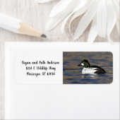 Mannelijke Goldenoogeend Etiket (Insitu)