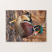 Mannelijke Hout Duck in de Bossen Legpuzzel (Horizontaal)