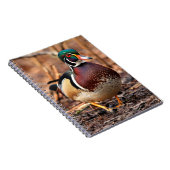Mannelijke Hout Duck in de Bossen Notitieboek (Rechterzijde)