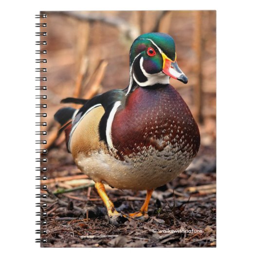 Mannelijke Hout Duck in de Bossen Notitieboek (Voorkant)