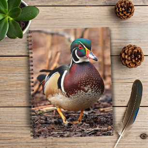 Mannelijke Hout Duck in de Bossen Notitieboek