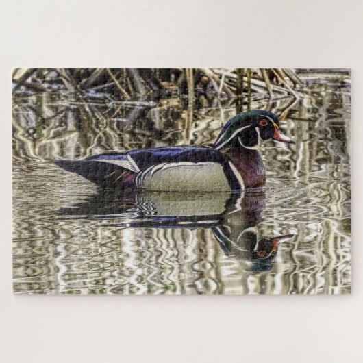 Mannelijke houteenden zwemmen in vijver legpuzzel (Horizontaal)