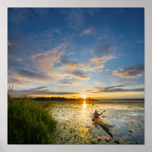 Mannelijke kanoër peddelt zeekajak op stilstaand w poster