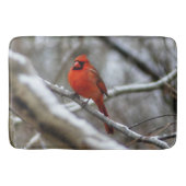Mannelijke kardinaal badmat (Voorkant)