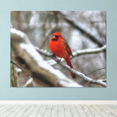 Mannelijke kardinaal canvas afdruk (Insitu (Houten vloer))