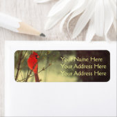 Mannelijke kardinaal etiket (Insitu)