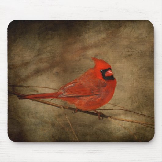 Mannelijke kardinaal Mousepad Muismat (Voorkant)