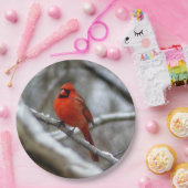 Mannelijke kardinaal papieren bordje (Feest)