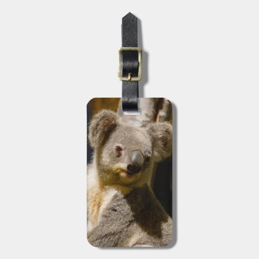 Mannelijke koala personaliseren bagagelabel (Voorkant verticaal)