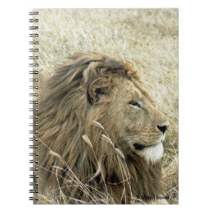 Mannelijke lion notitieboek