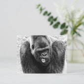 Mannelijke Lowland Silverback Gorilla, zwart en wi Briefkaart (Staand voorkant)