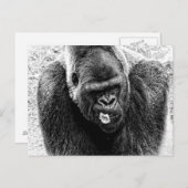 Mannelijke Lowland Silverback Gorilla, zwart en wi Briefkaart (Voorkant / Achterkant)