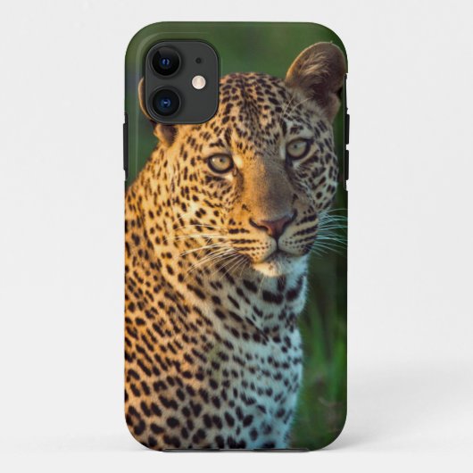 Mannelijke luipaard (Panthera Pardus) volgroeide k Case-Mate iPhone Case (Achterkant)