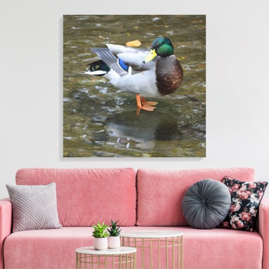 Mannelijke Mallard Duck in Creek Wrapped Canvas Pr (Insitu (Woonkamer))