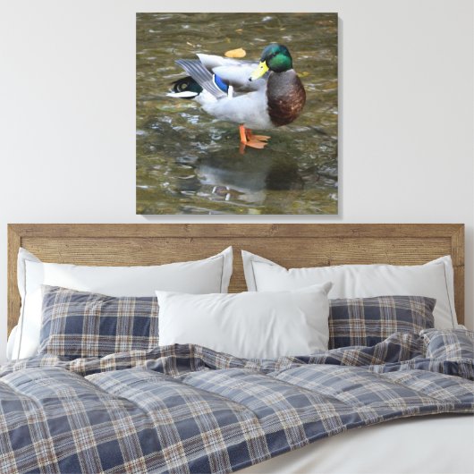 Mannelijke Mallard Duck in Creek Wrapped Canvas Pr (Insitu (Slaapkamer))