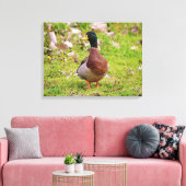 Mannelijke Mallard Duck Kleurrijke Canvas Print (Insitu (Woonkamer))