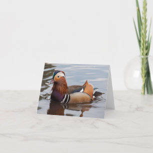 Mannelijke Mandarin Eend Notecard Kaart