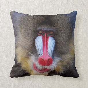 Mannelijke Mandrill Kussen