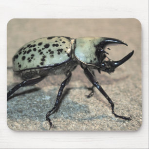 Mannelijke oostelijke Hercules Beetle Mousepad Muismat