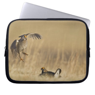 Mannelijke prairiehoenders bij lek in Loup County Laptop Sleeve