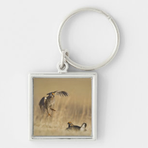 Mannelijke prairiekkippen bij lek in Loup County Sleutelhanger