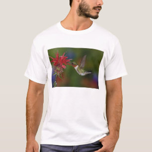 Mannelijke robijnkeelkolibrie t-shirt