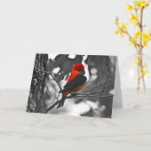 Mannelijke Scharlaken Tanager Kaart (Gele Bloem)