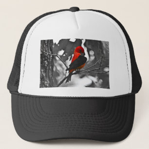 Mannelijke scharlaken tangare trucker pet