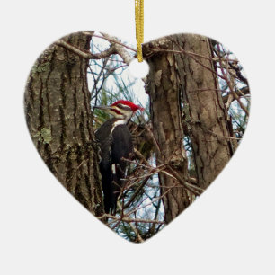 Mannelijke Specht Pileated Keramisch Ornament