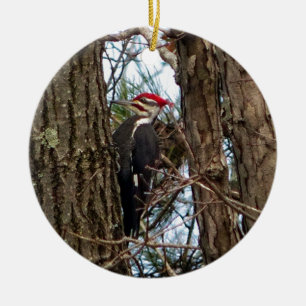 Mannelijke Specht Pileated Keramisch Ornament