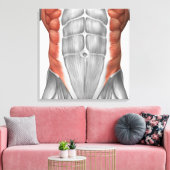 Mannelijke spierAnatomie van de buikwand Canvas Afdruk (Insitu (Woonkamer))