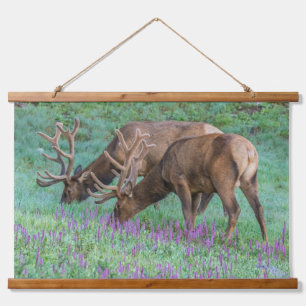 Mannelijke wapiti's Rocky Mountain National Park, Hangend Wandkleed