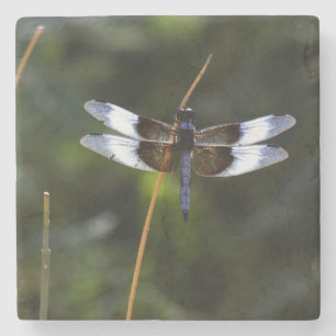 Mannelijke weduwe skimmer Dragonfly Stenen Onderzetter